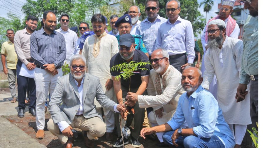 bKash, KCC to plant 25,000 trees