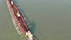 Boat race brings festive mood to Rajbari