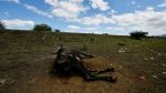 El Niño drought threatens Central American wildlife