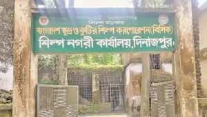 Investment rises, services lag at Dinajpur BSCIC