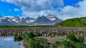 Rousing rhetoric while resurrecting Phantoms of Falklands
