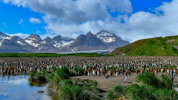 Rousing rhetoric while resurrecting Phantoms of Falklands