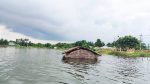 Padma rises in Daulatpur: 50,000 marooned, 18 Schools shut