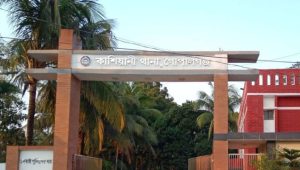 Gopalganj clash leaves 17 injured