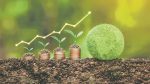 Bangladesh needs one green bond taxonomy, not three