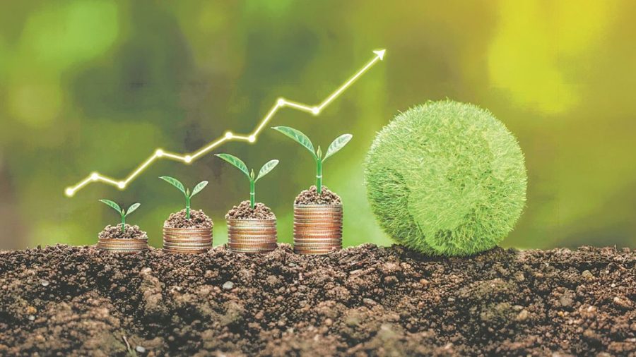 Bangladesh needs one green bond taxonomy, not three