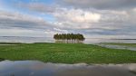 The flipside of the haor road