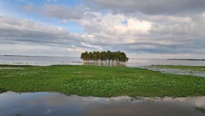 The flipside of the haor road