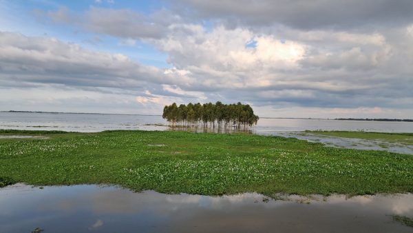 The flipside of the haor road