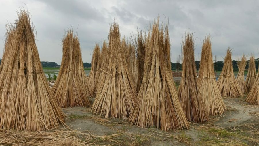 From waste to wealth: Faridpur jute sticks generate Tk4,000cr