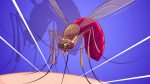 Are you a mosquito magnet?