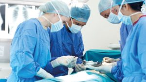 Bangladesh performs first kidney transplant using ’emotional donor’