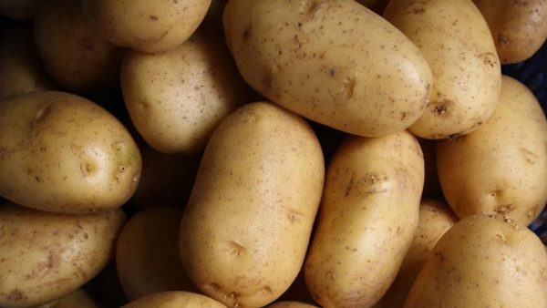 Profit gamble leaves Tk3cr potatoes rotting in cold storage