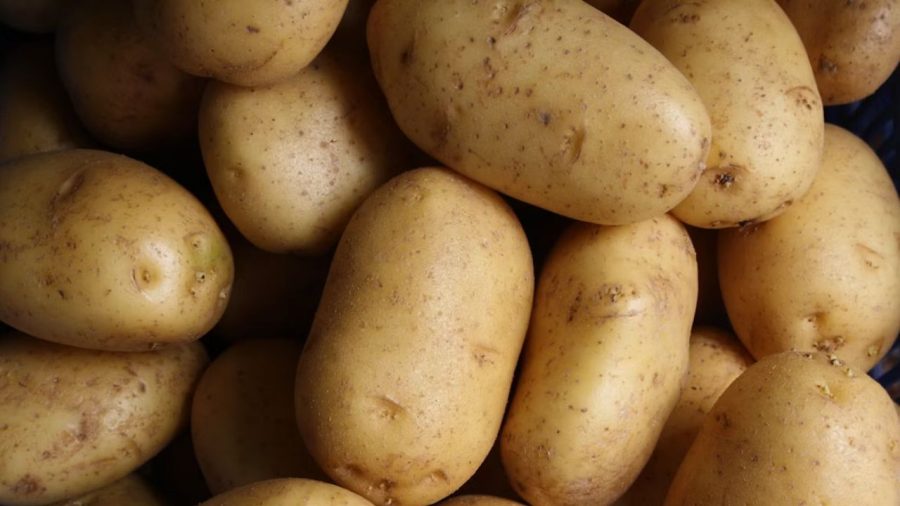 Profit gamble leaves Tk3cr potatoes rotting in cold storage