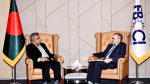 Rooppur to add 300MW to grid next month: Russian envoy