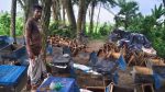 260 bee boxes dumped into ponds, Tk20 lakh loss for beekeeper