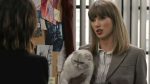 Taylor Swift Emmy Awards sketch featured hidden Easter eggs