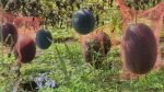 From YouTube to pond full of watermelons