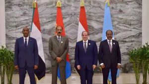 Four African leaders seek political solutions to regional conflicts