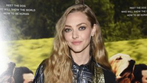 ‘I don’t want to be naked,’ Amanda Seyfried