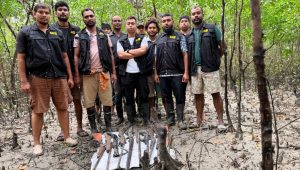 14 firearms recovered in Sundarbans after robbers’ surrender