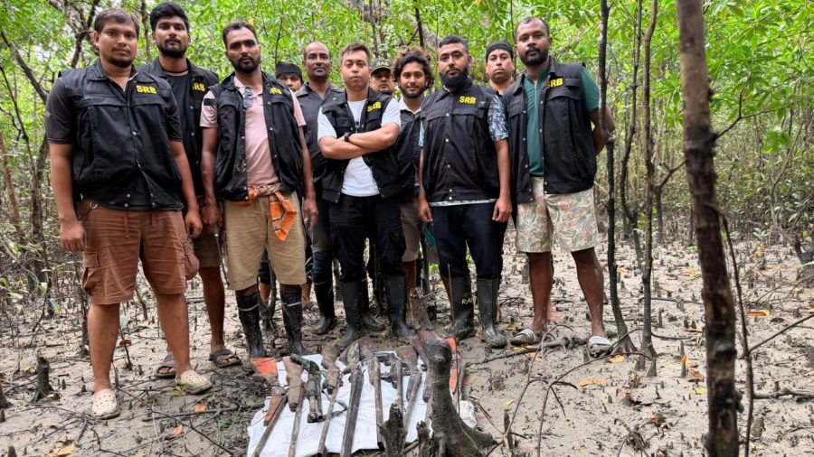 14 firearms recovered in Sundarbans after robbers’ surrender