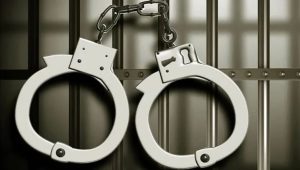 Joint forces arrest 441 in midnight raids across Dhaka