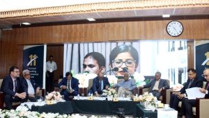 Rate cuts lose force in weak banking system: Zaidi Sattar