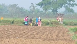 BGB foils BSF attempt to push 6 people into Bangladesh