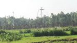 BSF’s push-in bid foiled at Burimari border