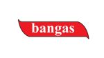 Auditor flags unverifiable Tk8.40cr Bangas receivables