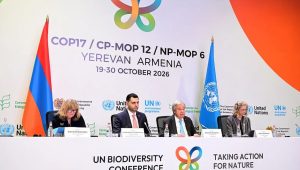 UN biodiversity summit: 200 countries agree on nature protection