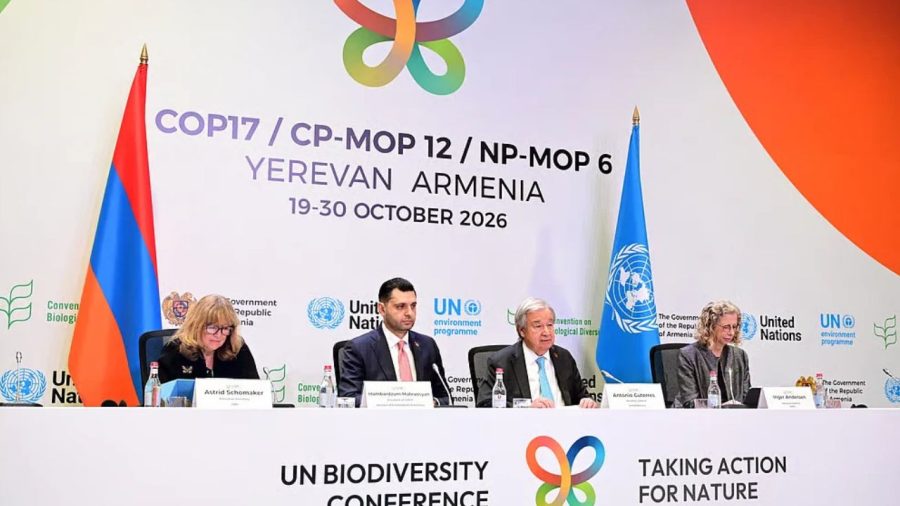UN biodiversity summit: 200 countries agree on nature protection