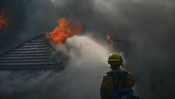 California wildfire burns homes, triggers evacuations