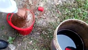 11 crude bombs recovered after two blasts in C’nawabganj