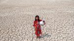 COP31 aims to accelerate climate policy implementation