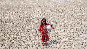 COP31 aims to accelerate climate policy implementation