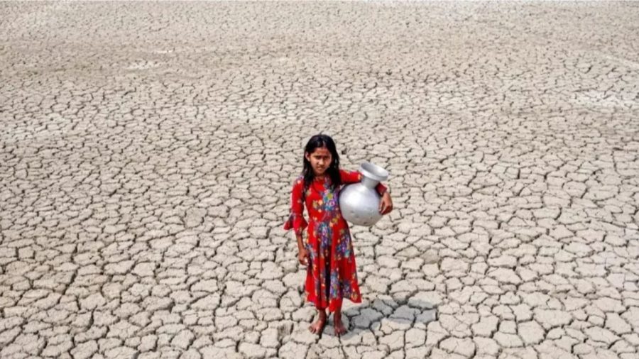 COP31 aims to accelerate climate policy implementation