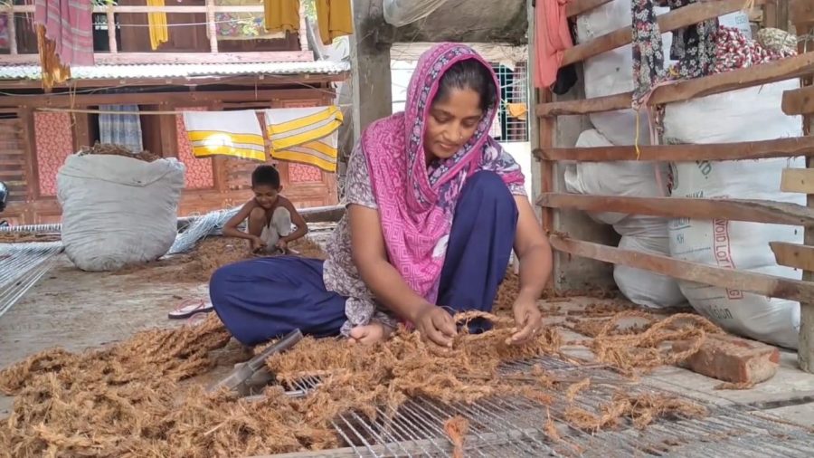 Coconut waste finds new life in Pirojpur