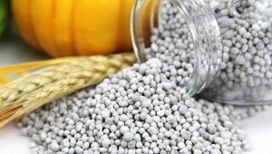 Govt approves import of 40,000 tonnes of DAP fertiliser from Morocco