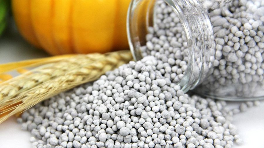 Govt approves import of 40,000 tonnes of DAP fertiliser from Morocco