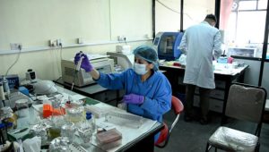 DNA testing begins to identify Nepal flood victims