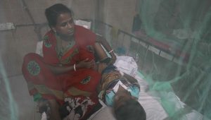 Four more dengue deaths take toll to 307
