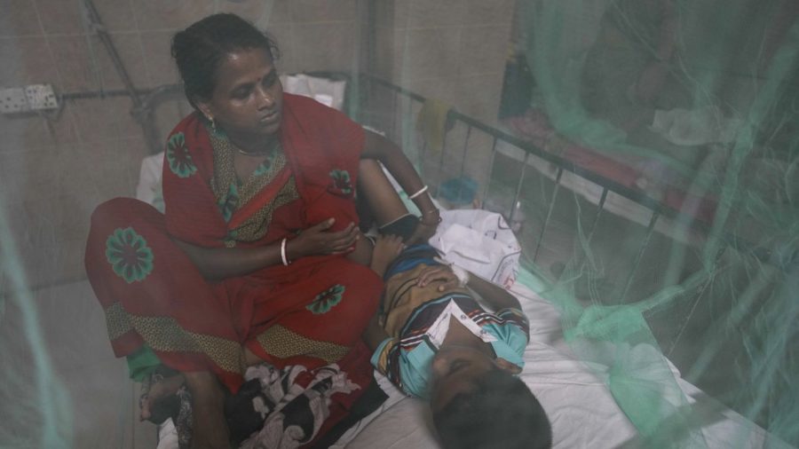 Four more dengue deaths take toll to 307