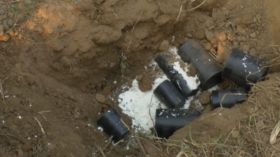 Nine crude bombs found in vanity bag at Dhaka Uddan
