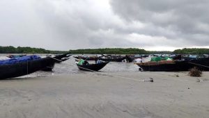 Rough seas, rain bring dry fish operations to a standstill at Dublar Char