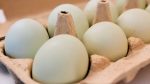 How many eggs can you safely eat every day?
