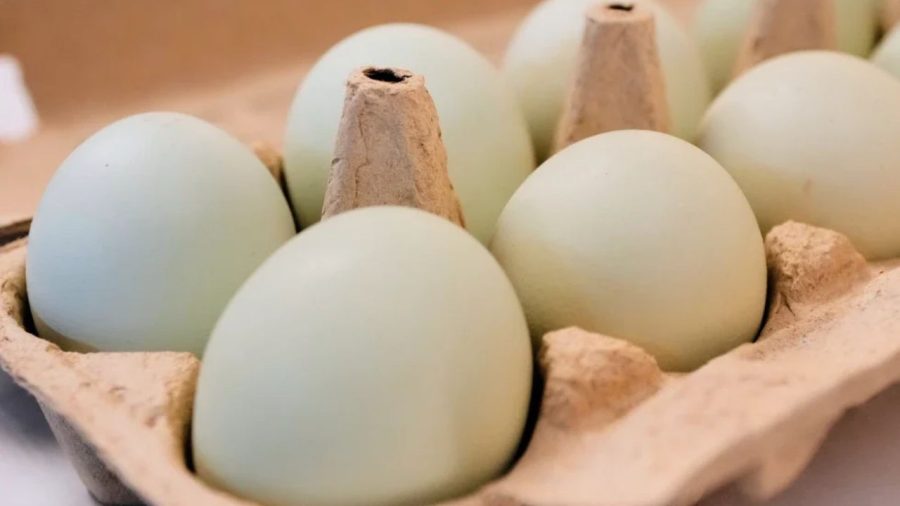 How many eggs can you safely eat every day?