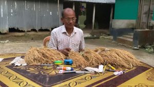 A farmer’s 21-year experiment with rice