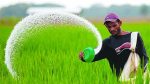1,800 sacks of fertiliser seized in Chaktai raid